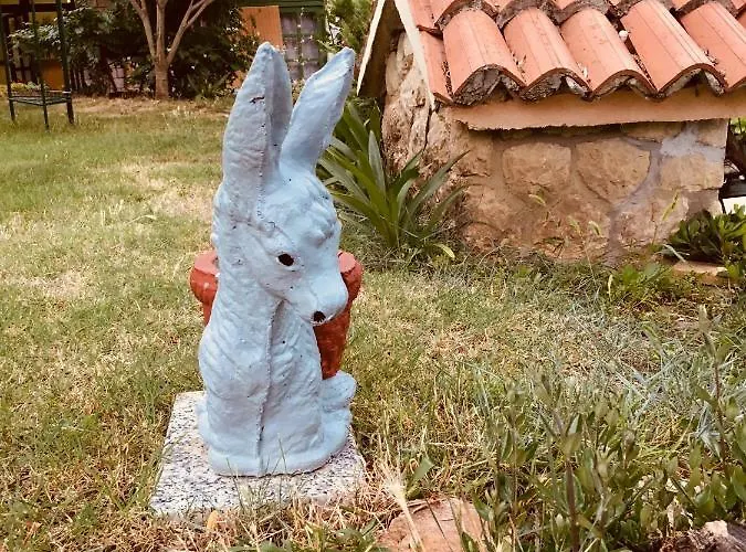 Ankica Apartmán Kampor