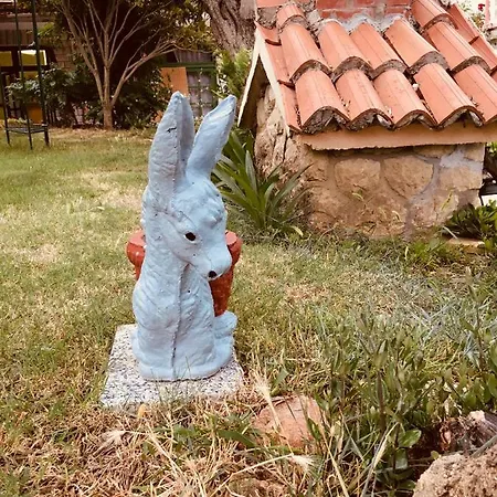 Ankica Lejlighed Kampor