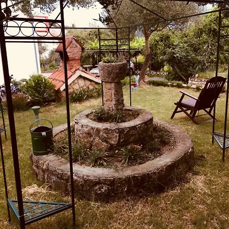 Ankica Apartamento Kampor
